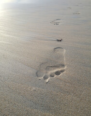  Footprints of human feet on the clean sand at the beach