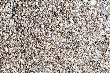 Background and texture of sand close up. Sea coast