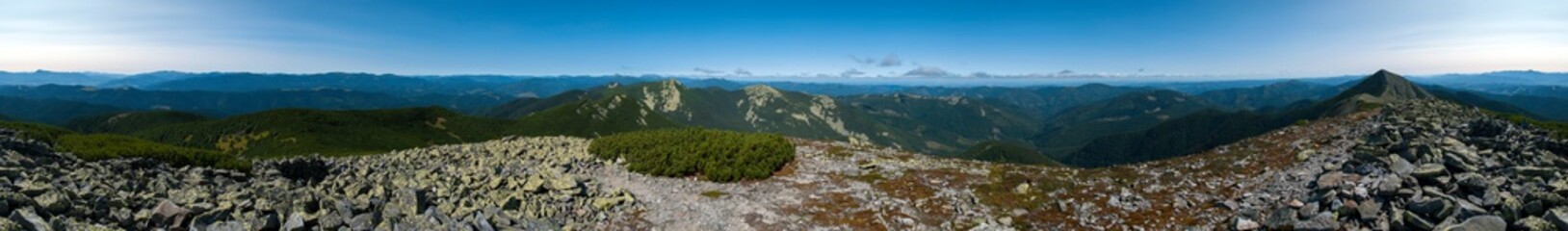 Naklejka na ściany i meble beautiful panorama with alpine pine and mountains under blue sky