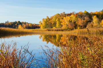 Idyllic lake view in autumn