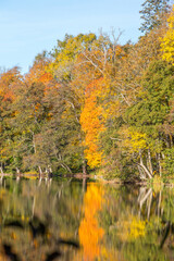 Water reflections of deciduous forest with autumn colors