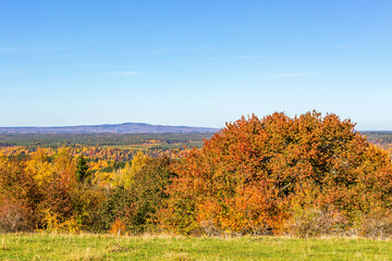 Fototapeta premium View of the landscape in the autumn with a hill in the horizon