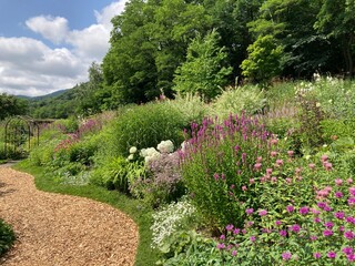 flowers in the garden