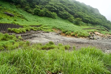 Fototapeta na wymiar The view of green hill at Tochigi.