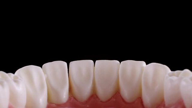 Jaws opening inside view. Flying out of mouth. White teeth on black background. Full HD 25 fps