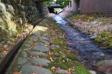 .......日本の郡上八幡にある整備された小川