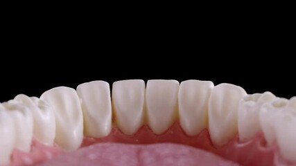 Jaws opening inside of mouth view. White teeth on black background. 4k 25 fps