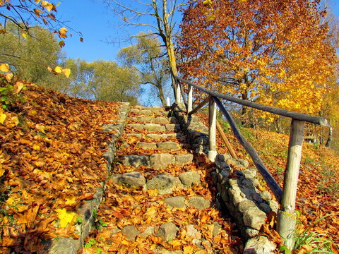 An old, stone staircase, strewn with fallen yellow leaves, with a wooden railing, in the estate of the artist I. Repin in Belarus. Autumn landscape.

