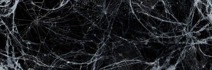 Spooky Cobweb In The Darkness - Halloween Background
