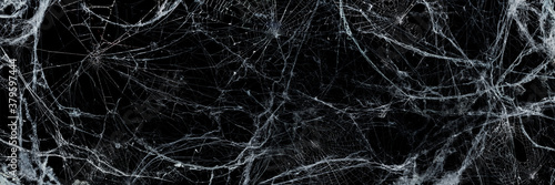 Spooky Cobweb In The Darkness - Halloween Background