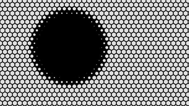 Hex Hole Hexagonal Lines Mesh Grid