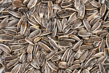 healthy sunflower seeds on white background