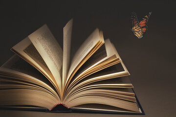 moment of surreal fantasy for a butterfly entering an open book