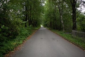 Photo of a footpath in a green park