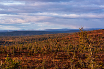 Autumn landscape of fell in Lapland, Finland, Riisitunturi