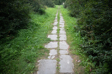Fototapeta na wymiar Photo of a footpath in a green park
