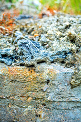 Old rusty concrete slab side view with soil layers and moss plantation