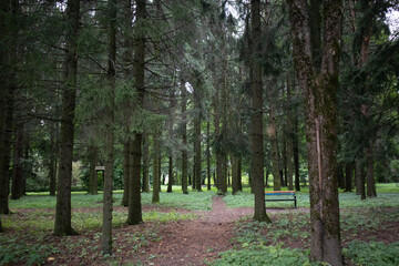 Landscape Park in Pulkovo Absservatory, Russia