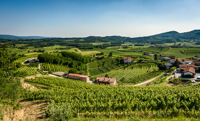 View of famous wine region Goriska Brda hills in Slovenia.