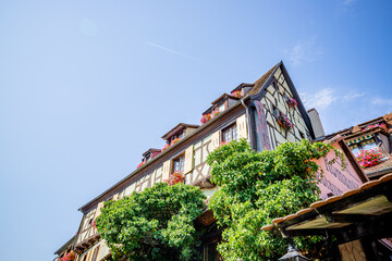 Promenade en barque dans La petite Venise à Colmar