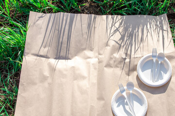 disposable biodegradable tableware on a picnic in nature. spoon, fork, plate of corn starch. green...