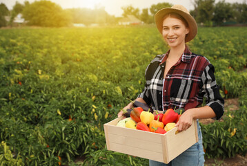 Farmer with wooden crate full of different vegetables in field. Harvesting time