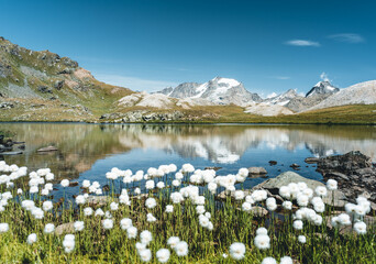 Colle del Nivolet nel parco del Gran Paradiso, Piemonte Italia
