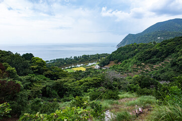 Fototapeta premium 沼津市井田の風景