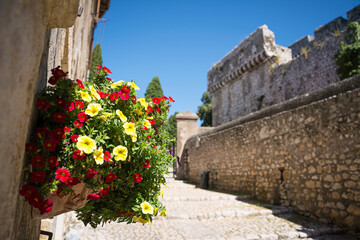 Fototapeta na wymiar Colorful Flower Bouquet in the beautiful Sermoneta village with medieval houses and the famous Caetani Castle on the top of the hill. Italy