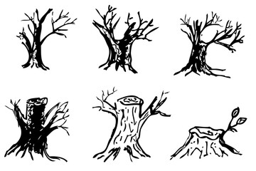 Simple 6 Vector hand draw Black dead tree and branch