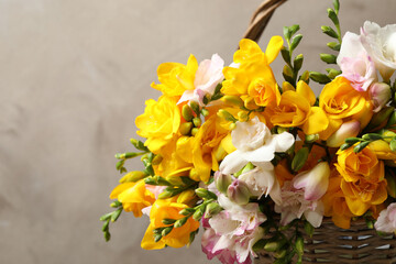 Beautiful blooming freesias in wicker basket against grey background, closeup