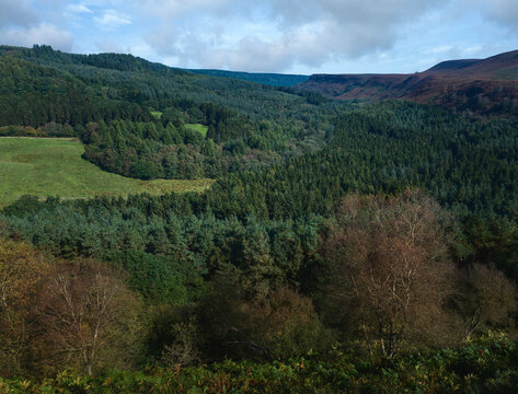 North York Moors with pine forest and trees in autumn. Levisham, UK.