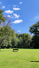 bank in a green park with blue sky
