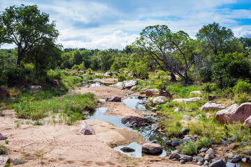 Picturesque rocky stream