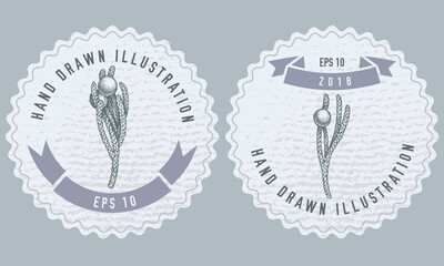 Monochrome labels design with illustration of brunia