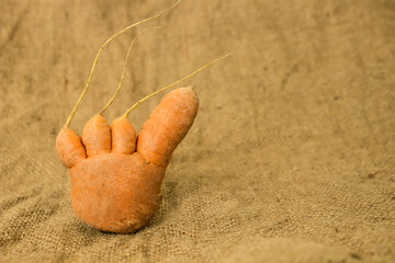 funny carrots on a background of old burlap for text