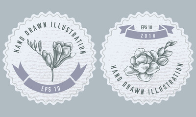 Monochrome labels design with illustration of freesia