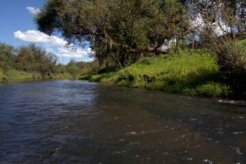 Fototapeta premium River on a summer day. A river with willows on the green banks. View from the middle of the river.