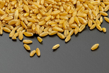 Seeds of ripe wheat on a gray background close-up. Soft focus