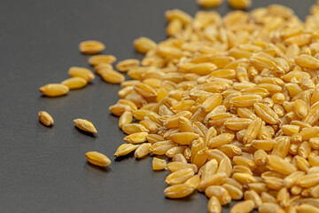 Seeds of ripe wheat on a gray background close-up. Soft focus