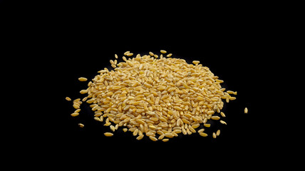 Seeds of ripe wheat on a black background close-up