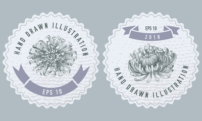 Monochrome labels design with illustration of aster