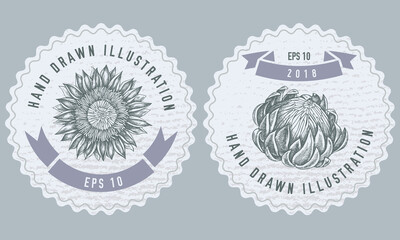 Monochrome labels design with illustration of protea