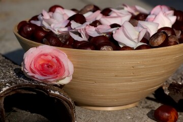 Holzschale mit Kastanien und rosa Rosenblätter