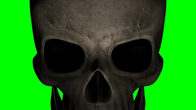 Human skull in the dark - green background. Mystic creepy concept. Abstract nightmare occult ceremony. Skull Halloween 3d animation.