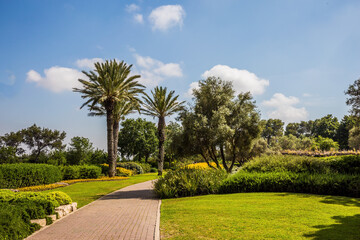 Obraz premium The magnificent park