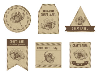 Craft labels vintage design with illustration of tulip