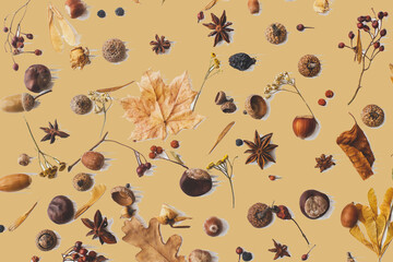 Fall leaves, berries, acorns, nuts, anise, chestnut  on awkwardly painted brown background