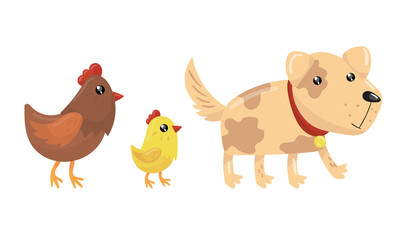 Dog, Chicken and Hen as Domestic and Farm Animal Vector Set