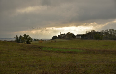 Ein Vogelschwarm am Himmel von Hiddensee im Herbst